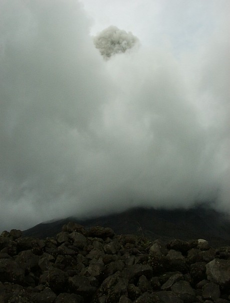 Picture of eruption