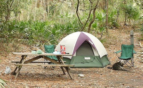 Picture of campsite