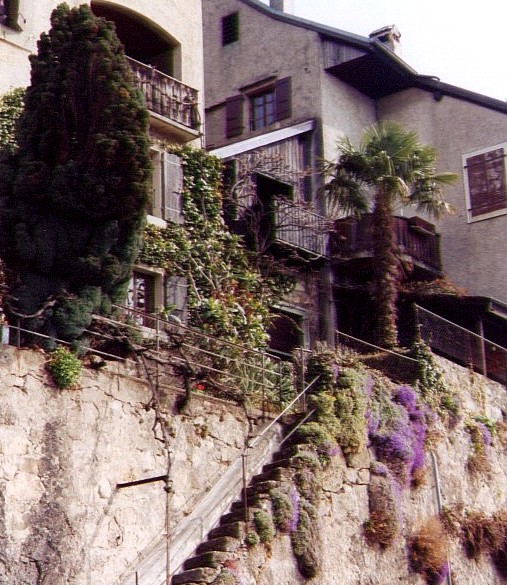 Picture of st_saphorin2