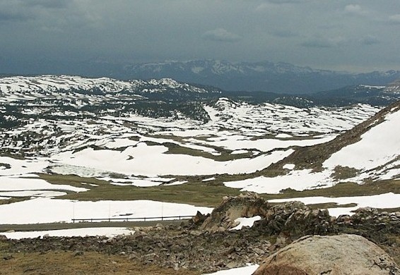 Picture of beartooth_pass