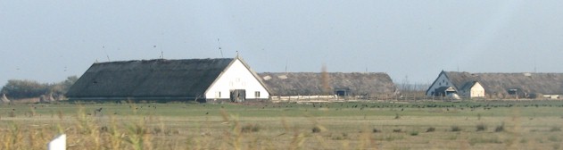 Picture of farms