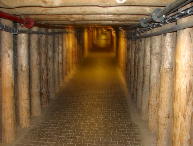 Picture of tunnel