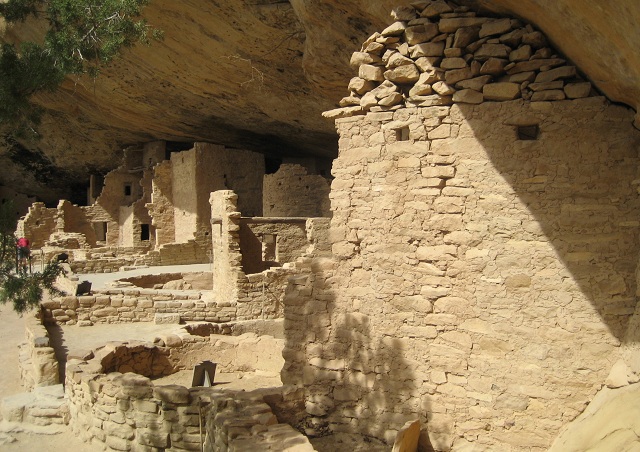 Picture of sprucetree_inside