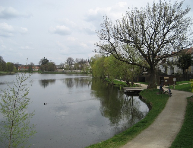 Picture of moat