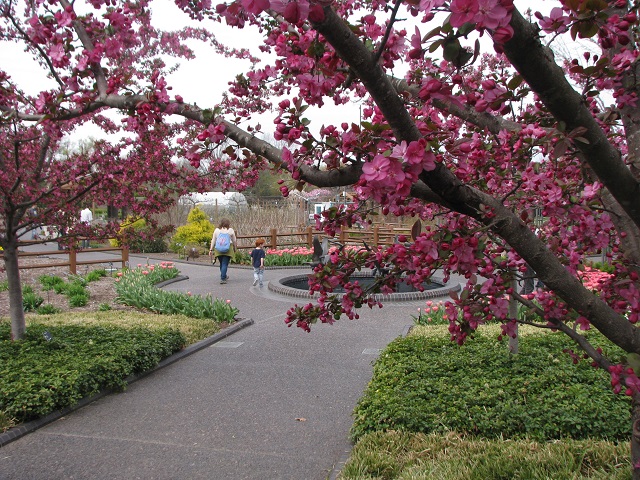 Picture of gardens
