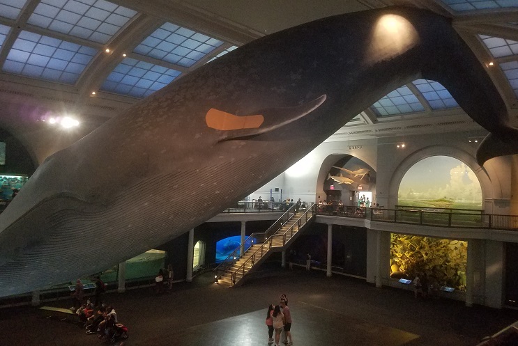 Picture of nat_history