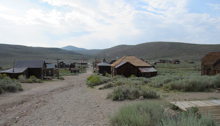 Picture of bodie