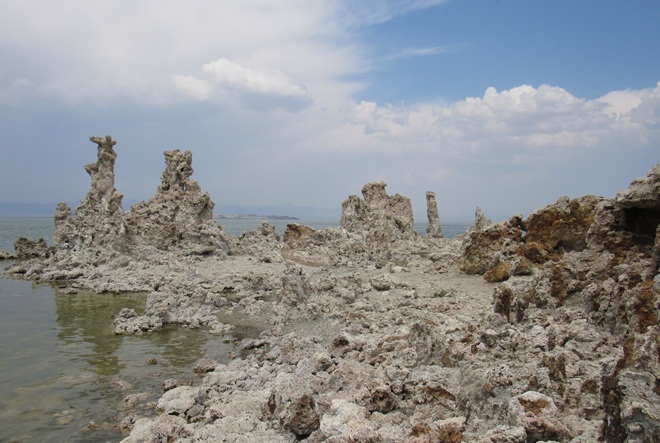 Picture of mono