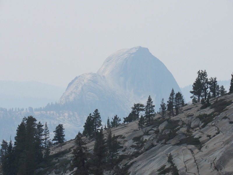 Picture of halfdome