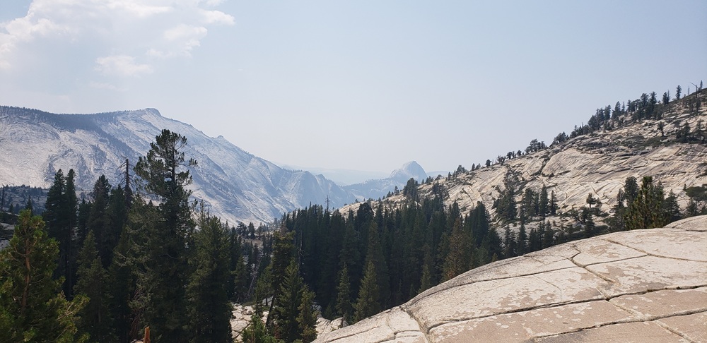 Picture of halfdome_from_tioga