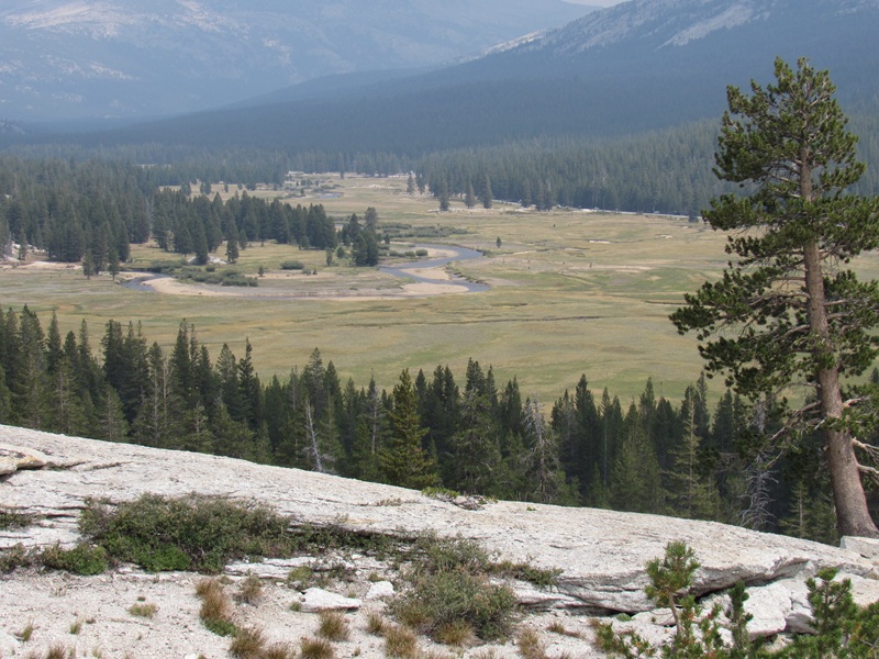 Picture of tuolumne_meadows