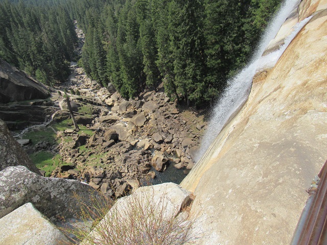 Picture of top_vernal