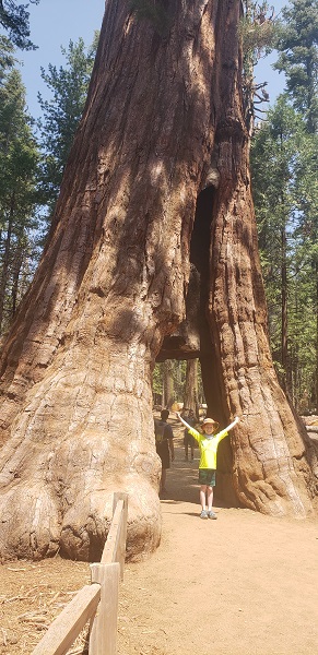 Picture of walk_thru