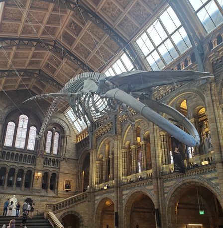 Picture of natural_history