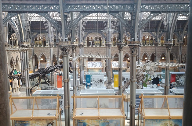 Picture of oxford_museum