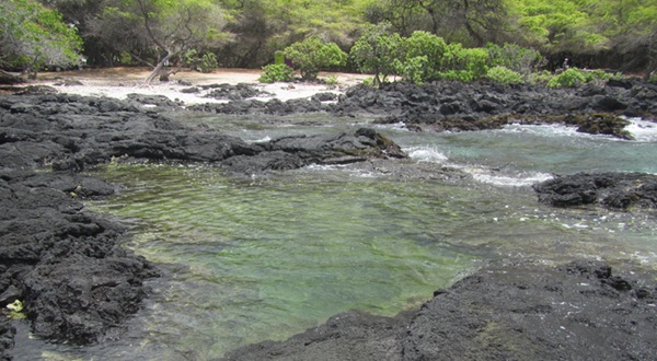 Picture of puako_beach