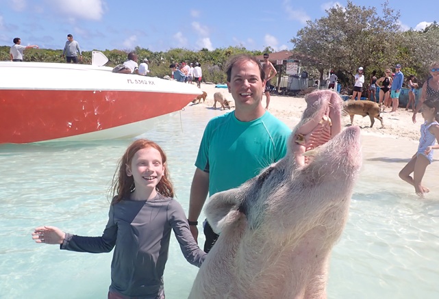 Picture of big_pig