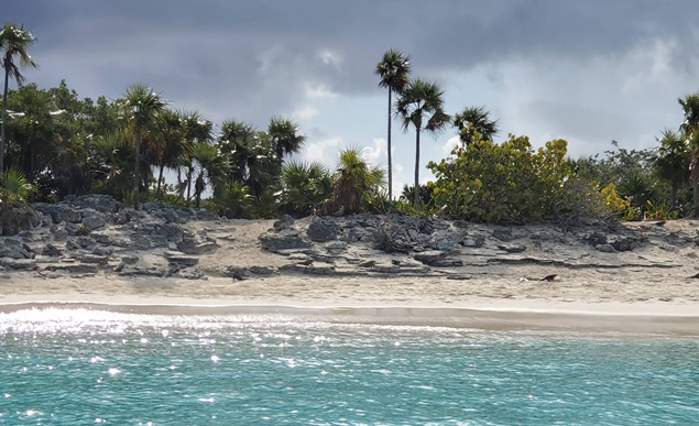 Picture of bitter_guana_cay