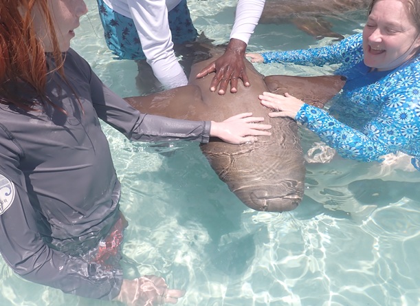 Picture of compass_cay