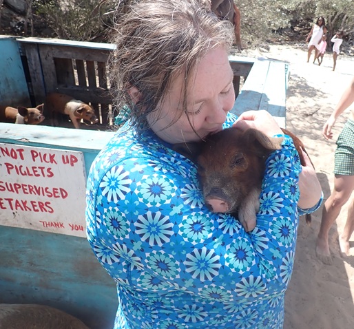 Picture of piglet