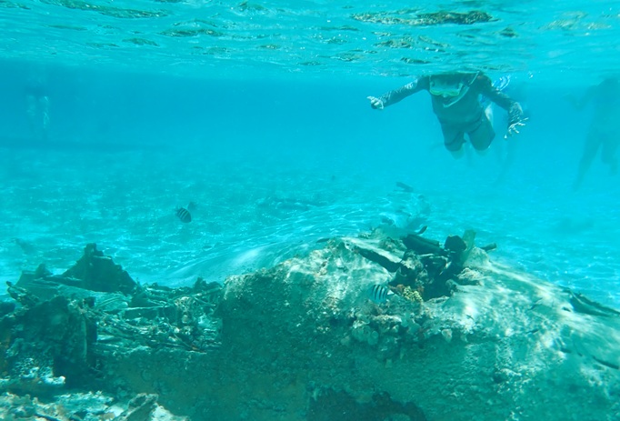 Picture of plane_wreck